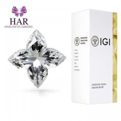 KIM CƯƠNG NUÔI CẤY CVD - FLOWER MODIFIED BRILLIANT / 1.03 Carats / E / VS1